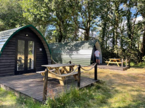 Nuthatch Cabin at Cloudshill Glade